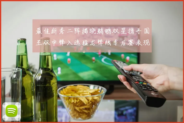 最佳新秀二阵揭晓鹈鹕双星携手国王双中锋入选猛龙锋线季后赛表现抢眼